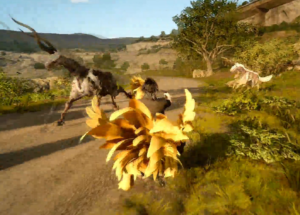 chocobo